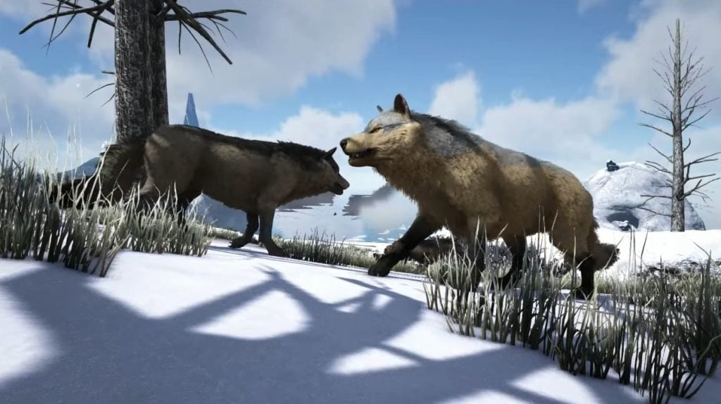 ذئب في ARK