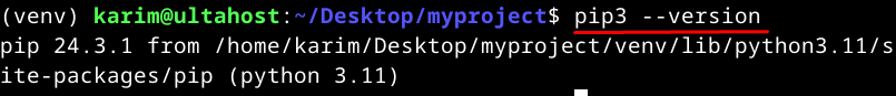 pip3 version
